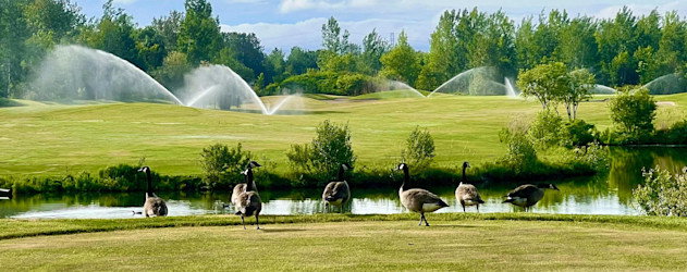 Golf de la Faune