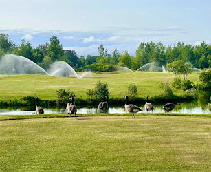 Golf de la Faune