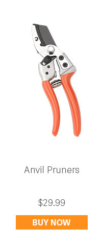 Anvil Pruners $29.99 - BUY NOW