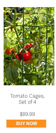 Tomato Cages, Set of 4 - $89.99 - BUY NOW