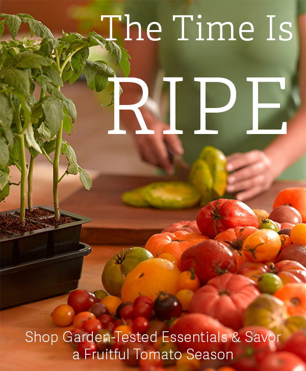 The Time is Ripe - Shop Garden-Tested Essentials & Saveor a Fruitful Tomato Season