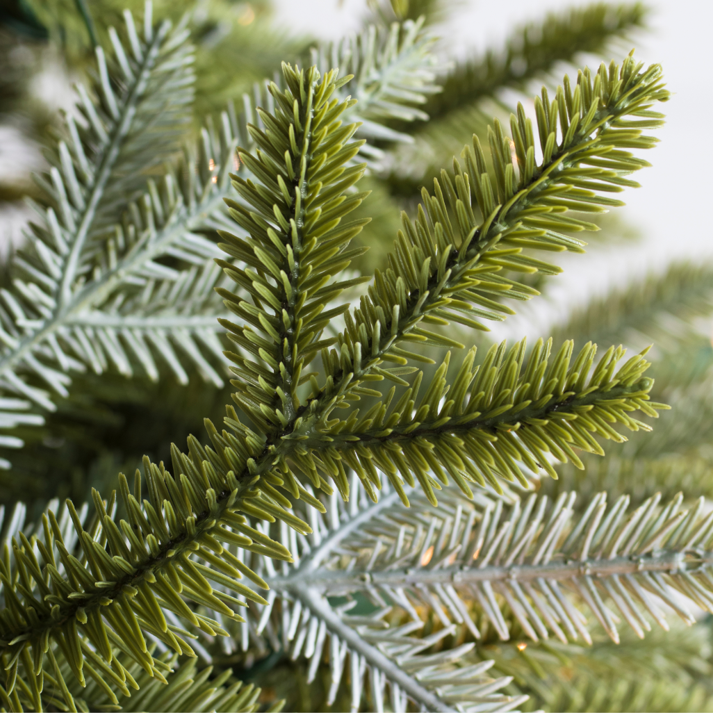 Close up photo of tree branch