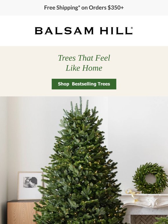 Hello, We’re Balsam Hill 👋