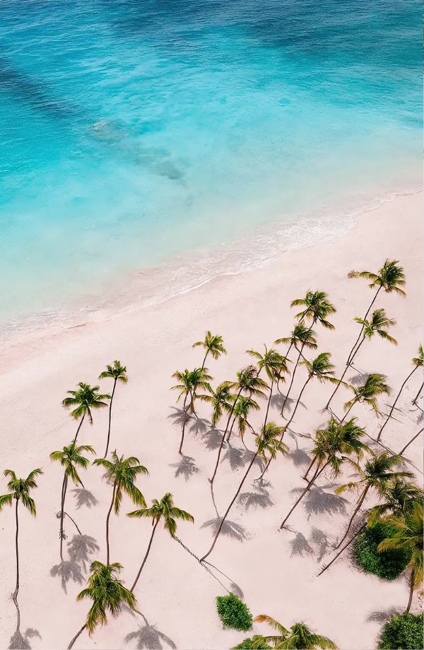Hyatt Vivid Punta Cana