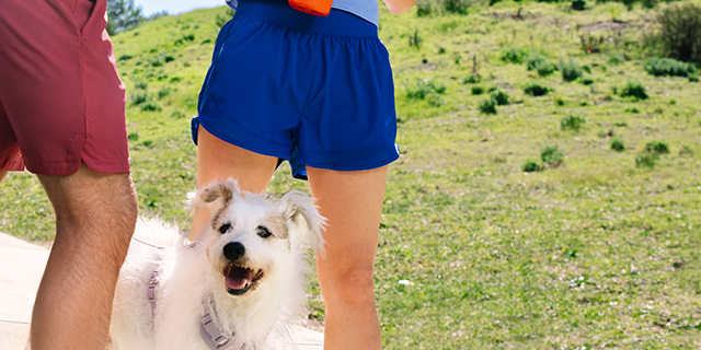 BIG running brands. Marathon or morning stroll, you deserve the best for less.