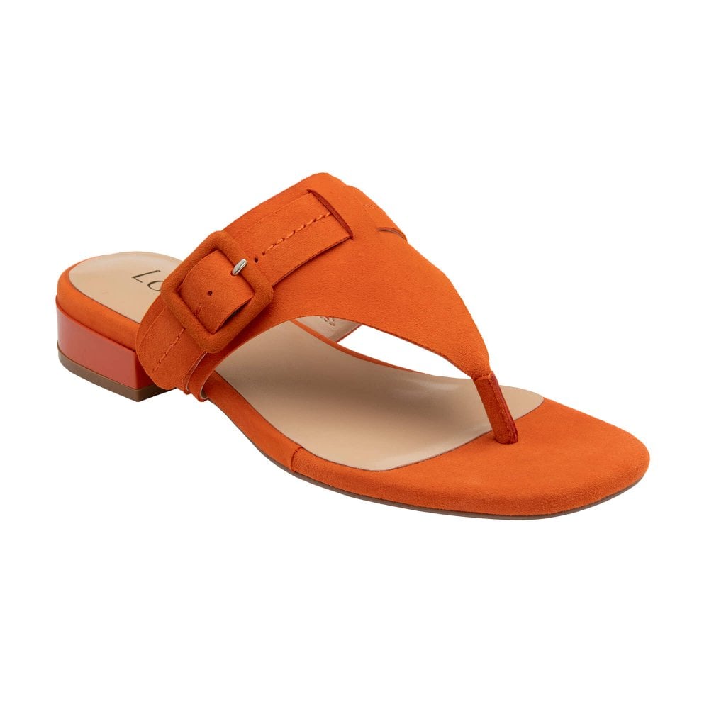 Image of Vittoria Suede Sandals