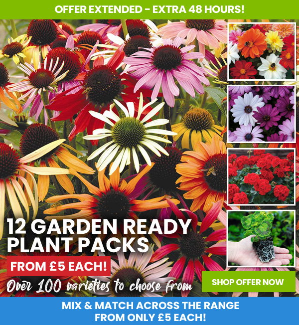Garden Ready Mix & Match