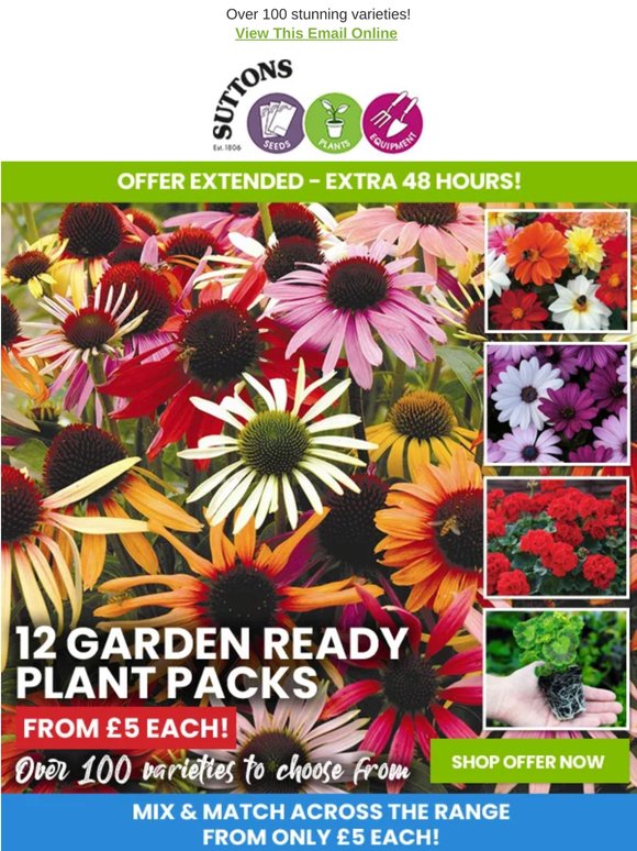 12 Garden Ready Plants FROM £5 A Pack! Mix & Match Special