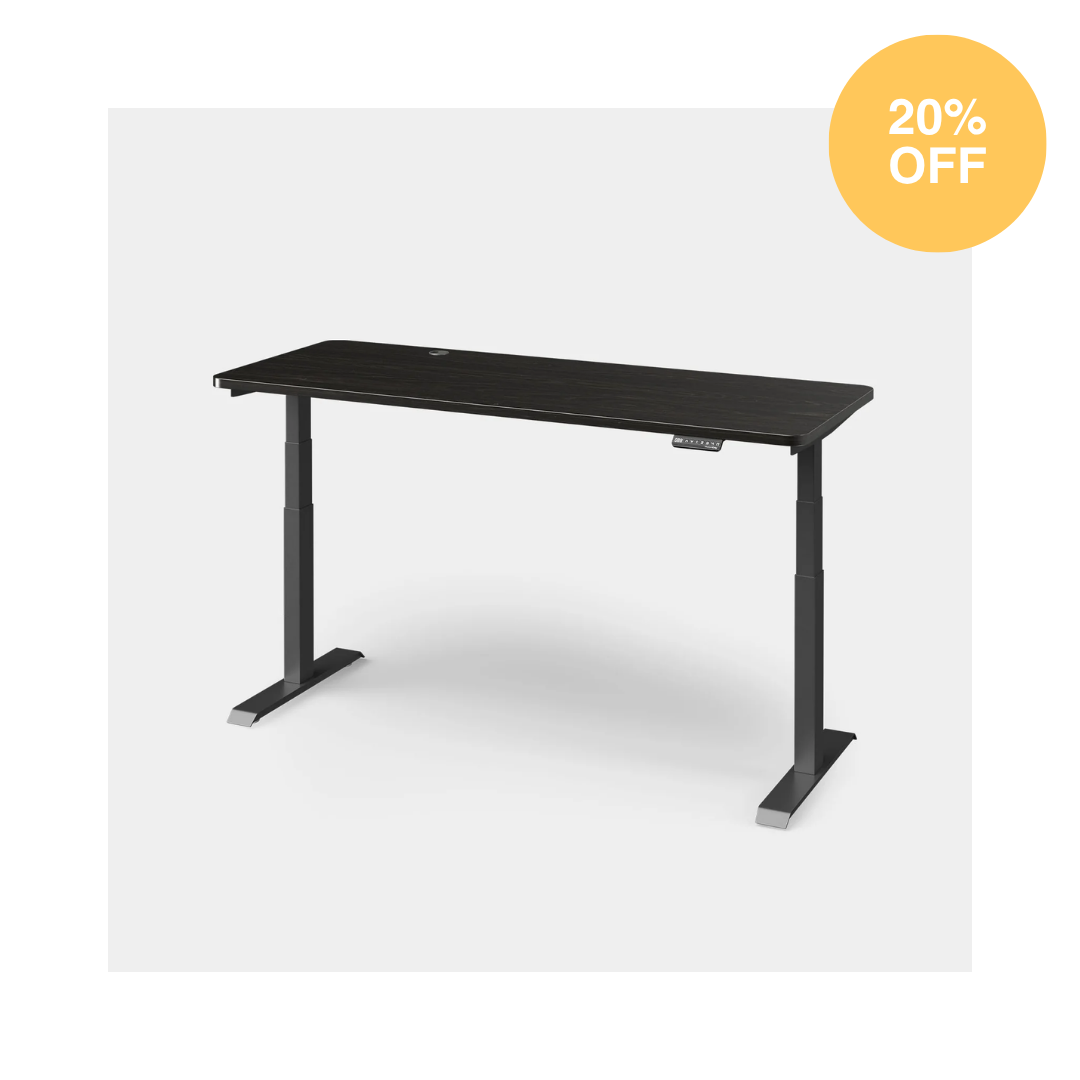 ergo2 standing desk