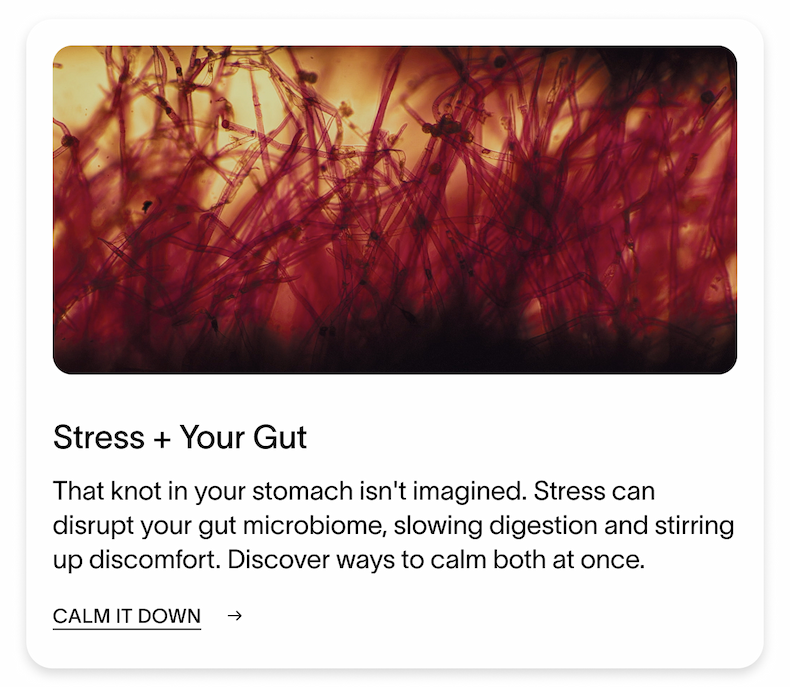 Stress + Your Gut