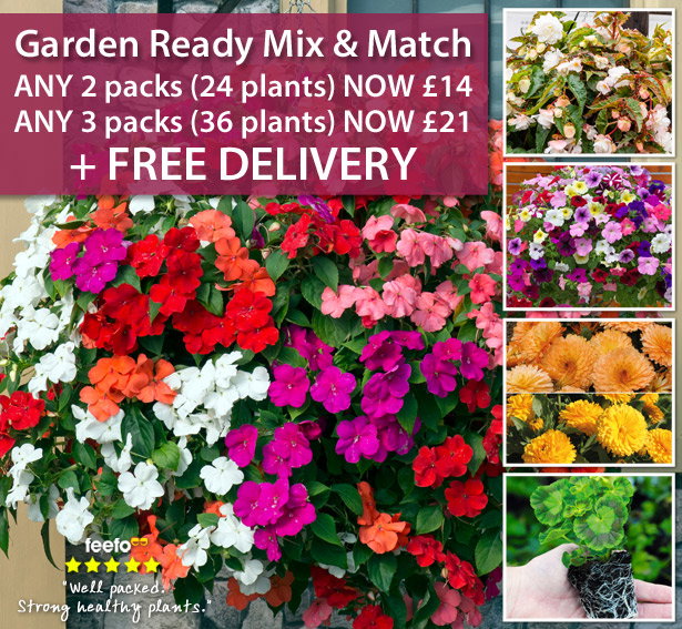 Garden Ready Mix & Match