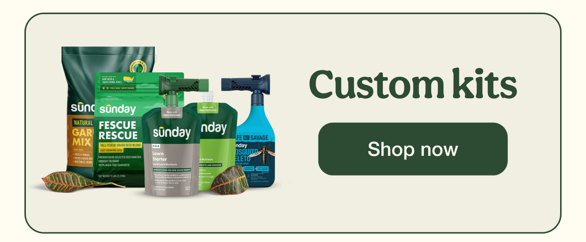 Custom kits | Shop now