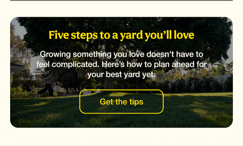 Five steps to a yard you’ll love | Get the tips