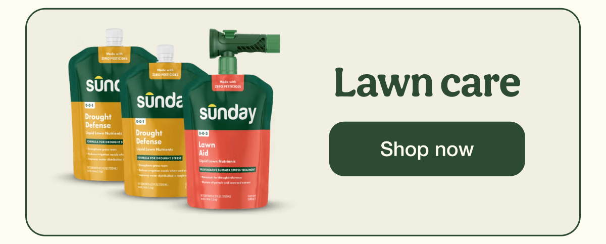 Lawn care | Shop now