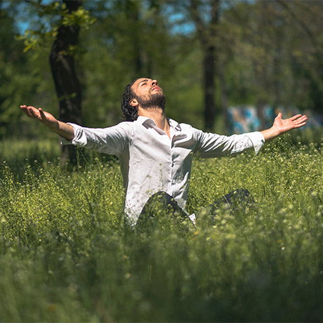Mind and Body Detox Diploma Course image