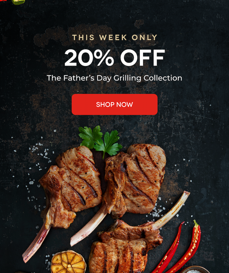 THIS WEEK ONLY 20% OFF The Father’s Day Grilling Collection SHOP NOW