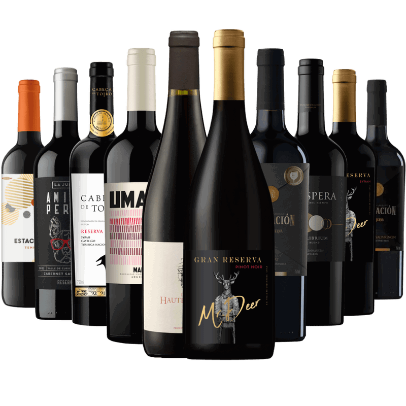 Kit 10 Vinhos Tintos Premium