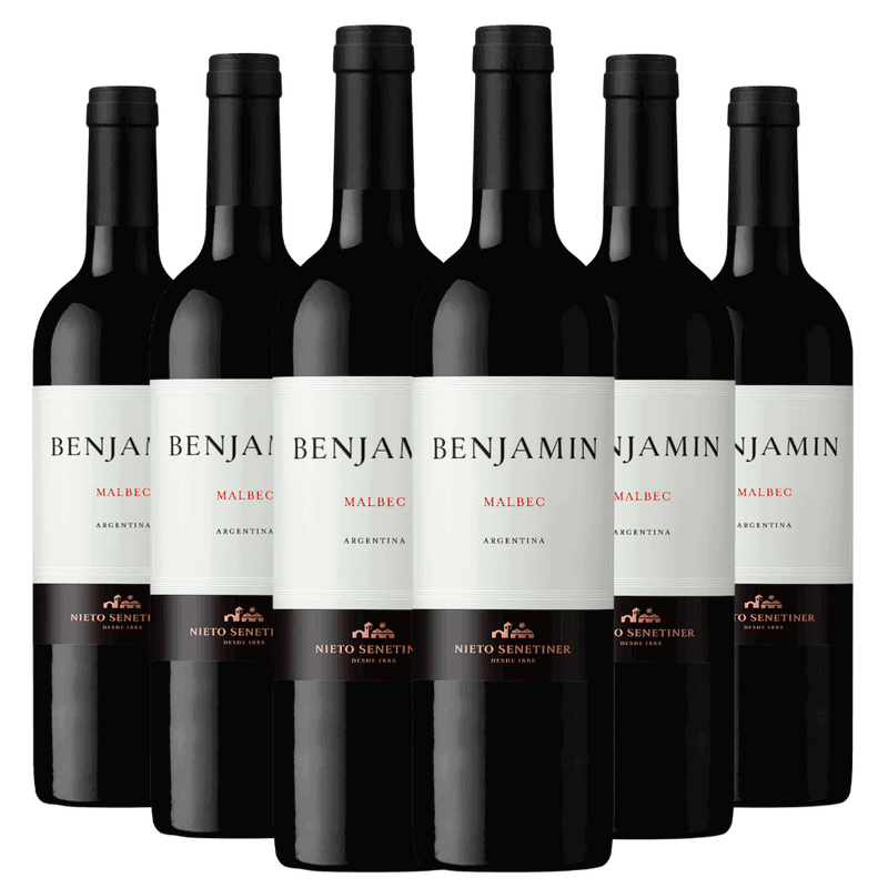 Kit Caixa Fechada 6 Vinhos Benjamin Malbec