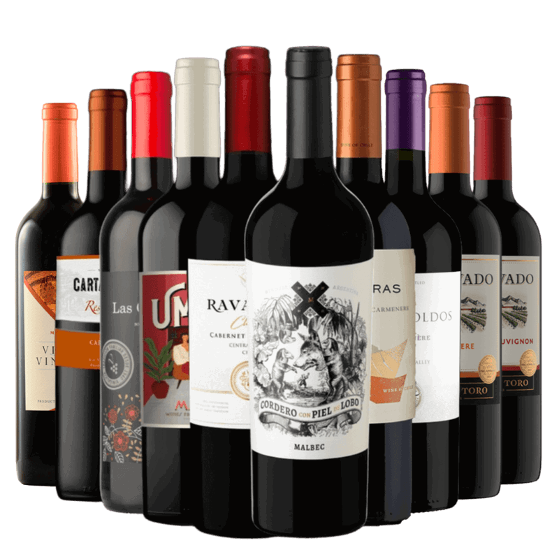 Kit 10 Vinhos Tintos Best Sellers