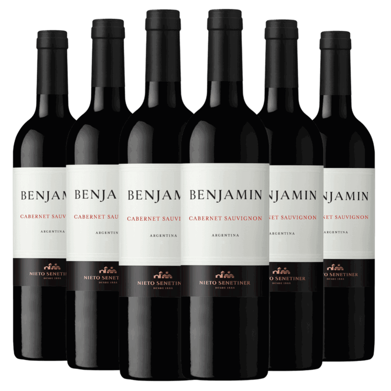 Kit 6 Garrafas Benjamin Cabernet Sauvignon