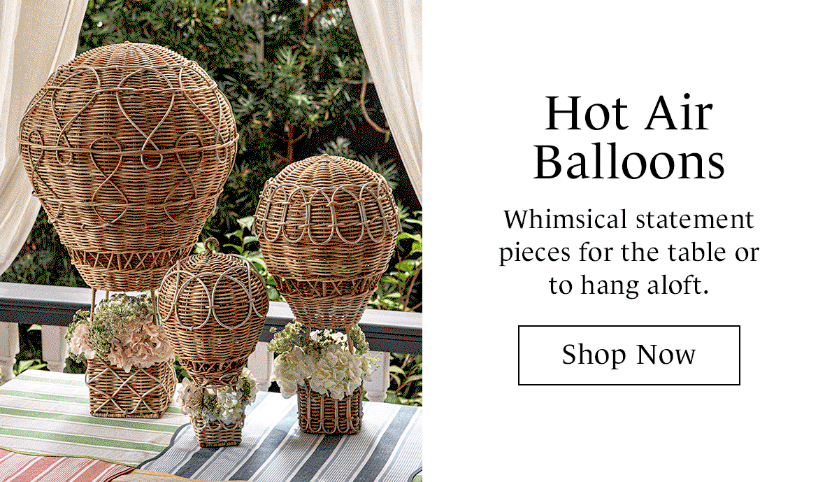 Hot Air Balloons