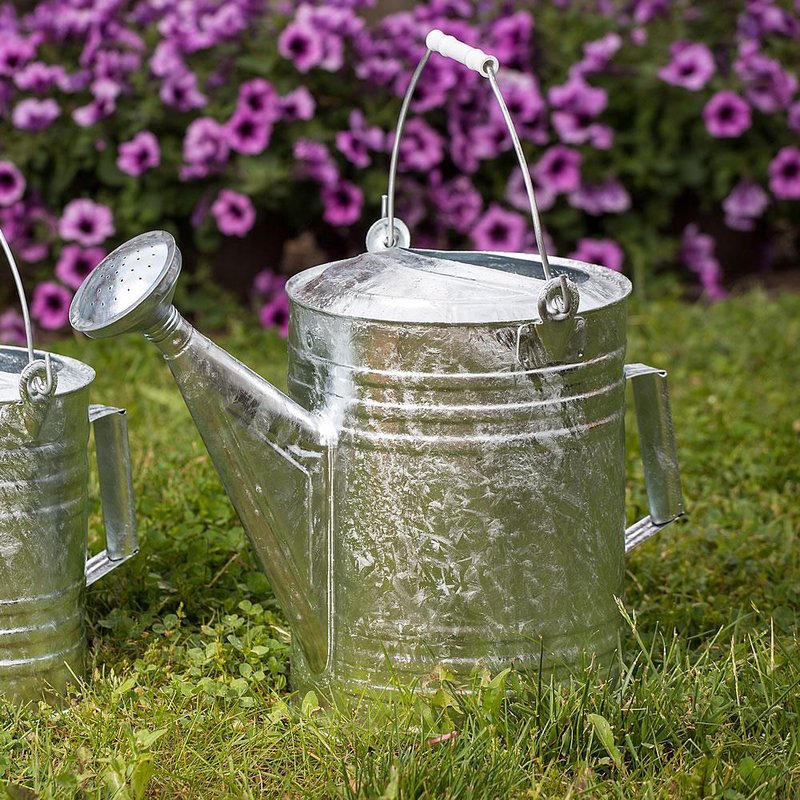 Image of Large Galvanized Watering Can