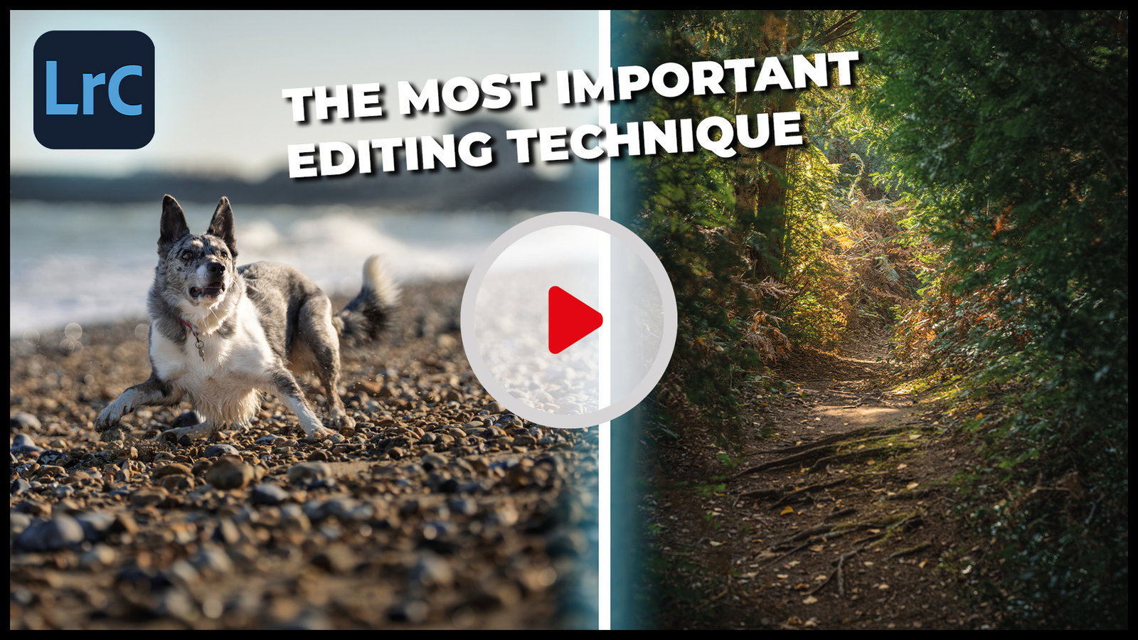 Tutorial Tuesday - Editing