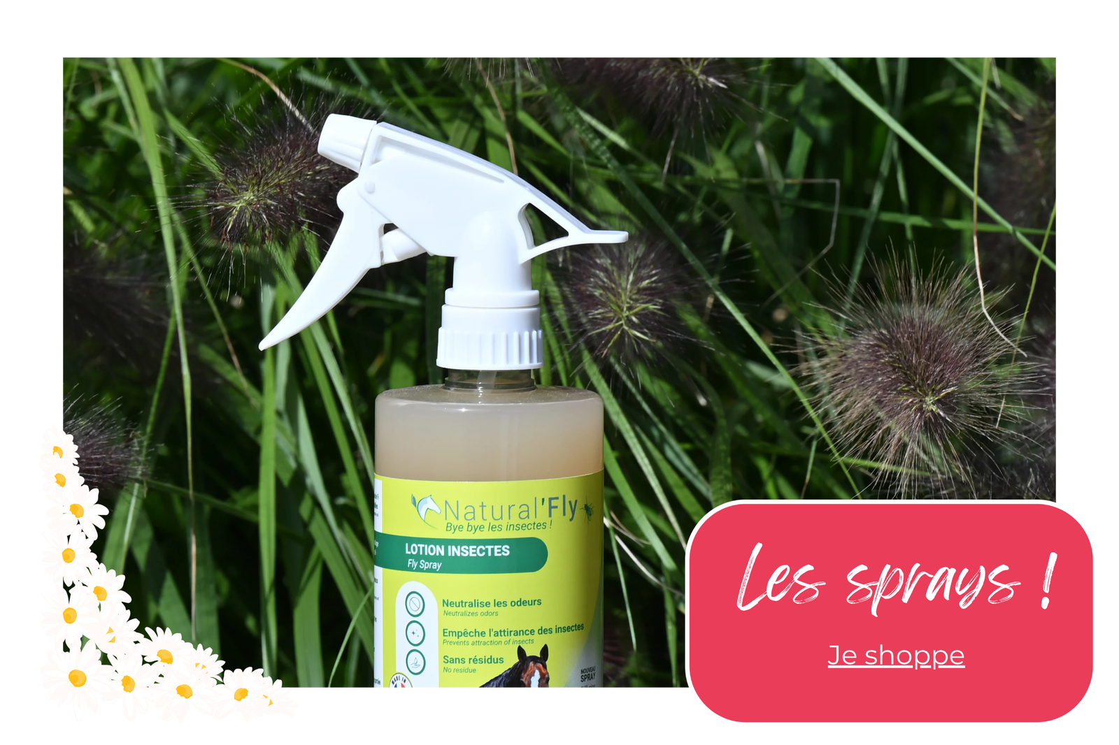 Les sprays anti-mouches 