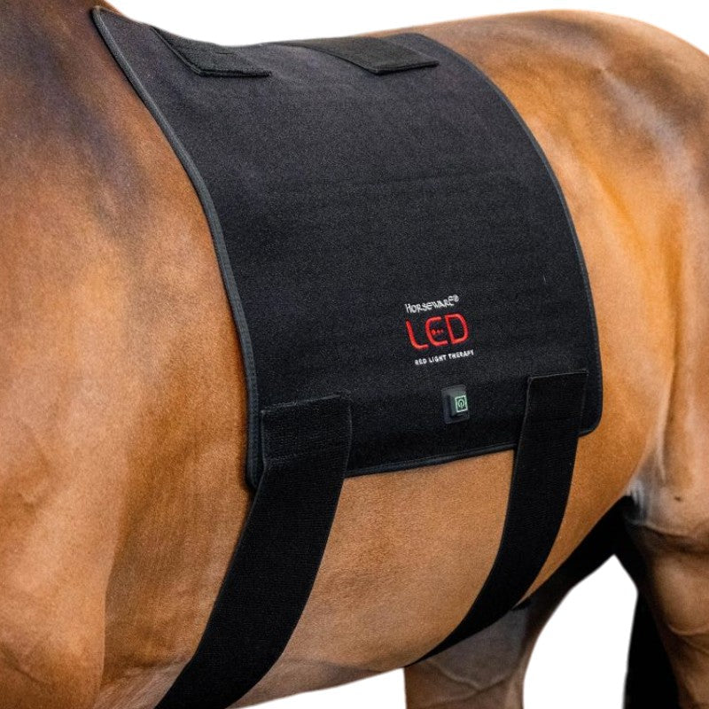 Image of Horseware - Tapis thérapeutique lumière rouge LED