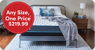 Sleepy's Review: I used to wake up with backaches. I didn't realize that I had the wrong bed until I visited family & slept so well. I love my firm mattress! Any size one price: $219.99