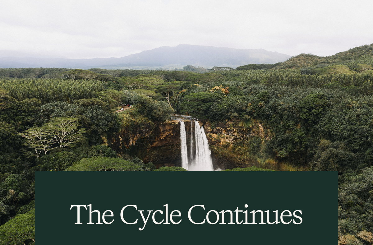 The Cycle Continues