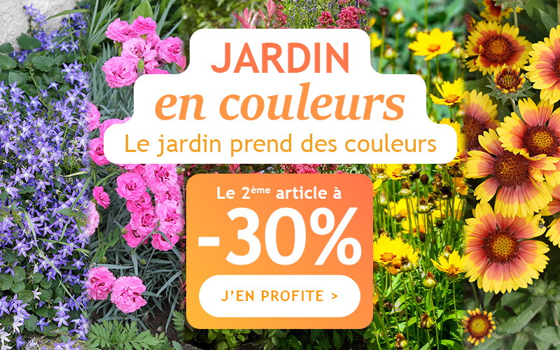 Jusqu'à -30% pour un jardin gourmand !