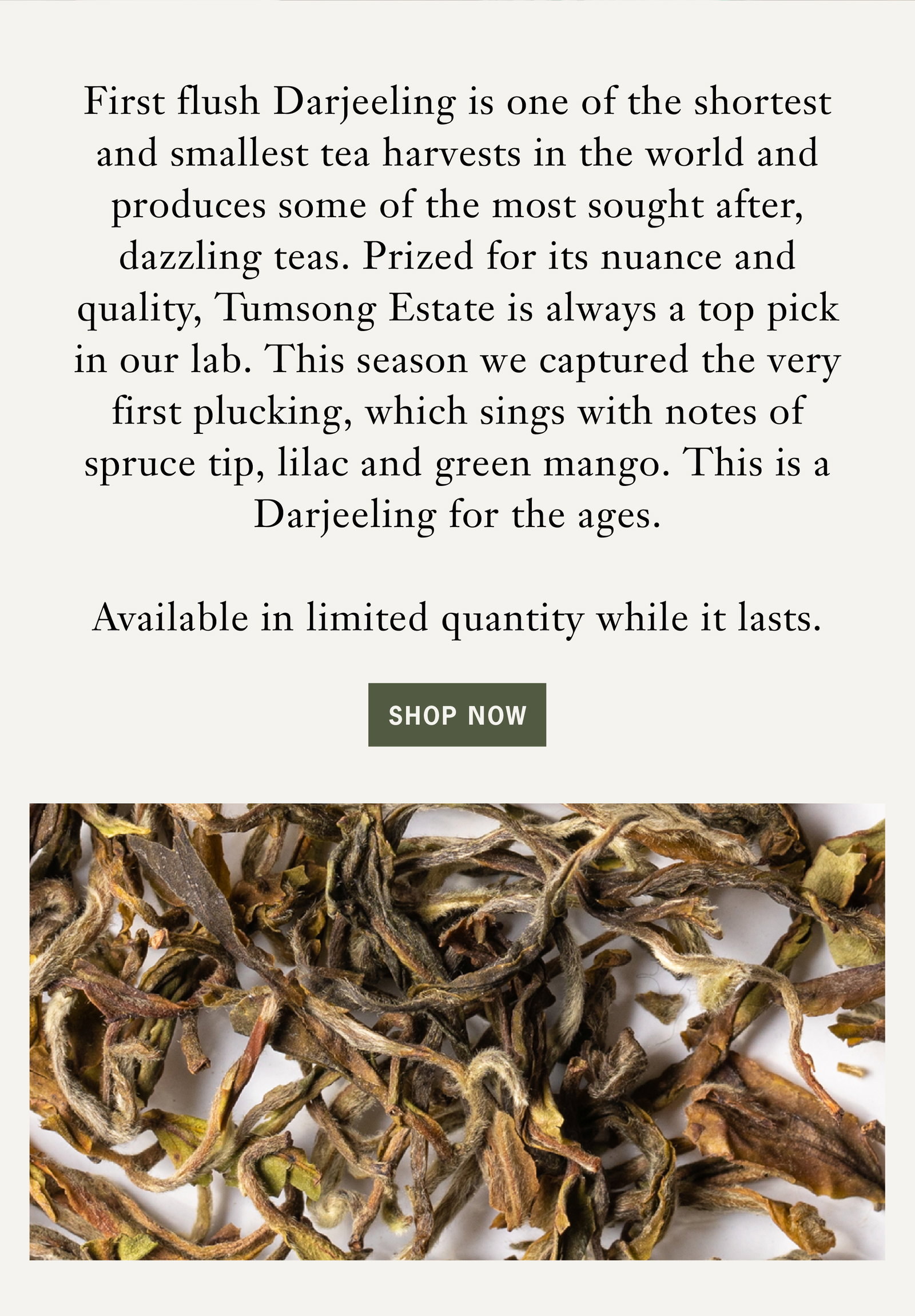 TEAMAKER'S CHOICE  1st Flush Darjeeling   First flush Darjeeling is one of the shortest and smallest tea harvests in the world and produces some of the most sought after, dazzling teas. Prized for its nuance and quality, Tumsong Estate is always a top pick in our lab. This season we captured the very first plucking, which sings with notes of spruce tip, lilac and green mango. This is a Darjeeling for the ages.   Available in limited quantity while it lasts.   SHOP NOW