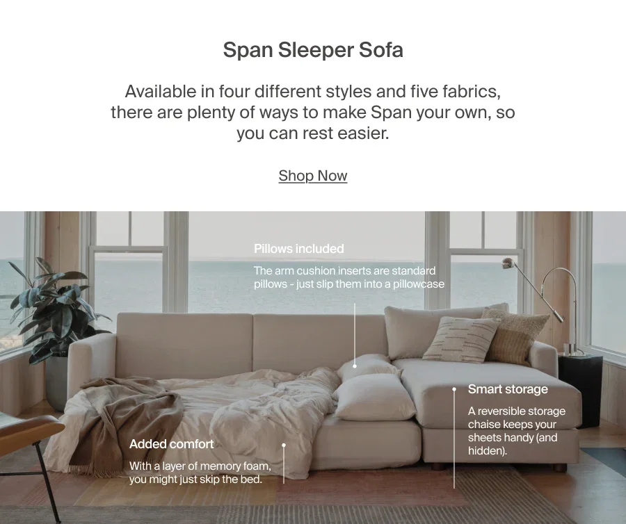 Span Sleeper Sofa