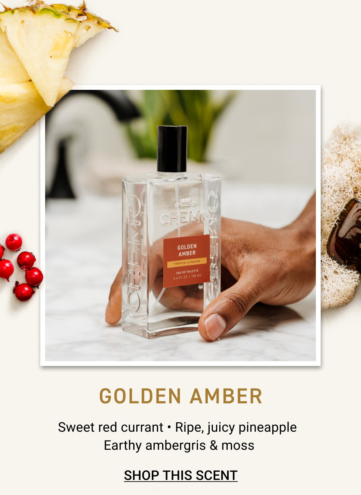 Shop Golden Amber Cologne
