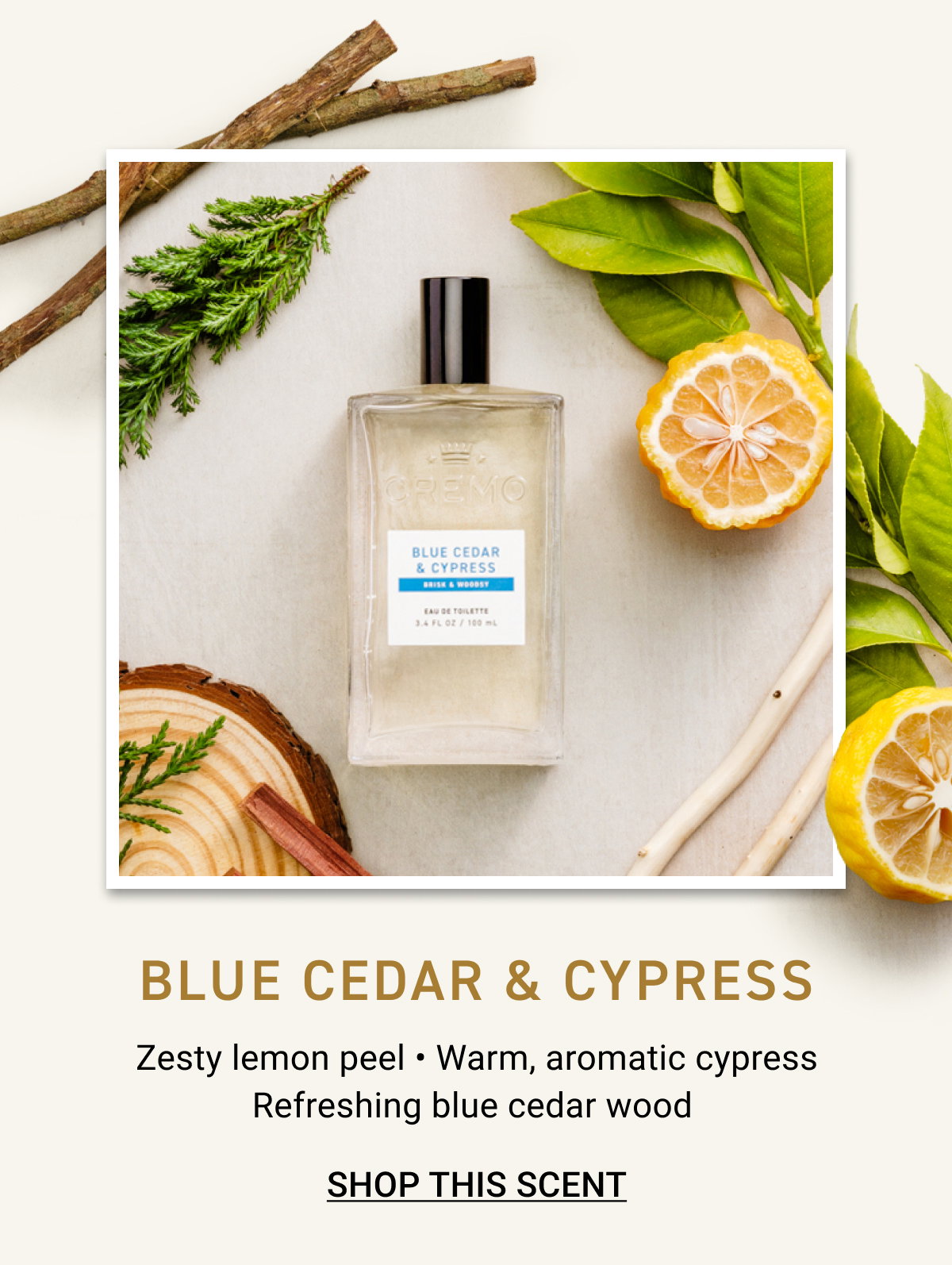 Shop Blue Cedar & Cypress Cologne