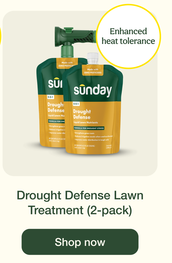Drought Defense Lawn Treatment (2-pack) | Shop now