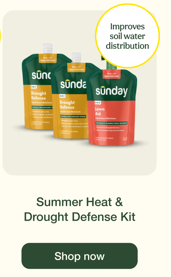 Summer Heat & Drought Defense Kit | Shop now
