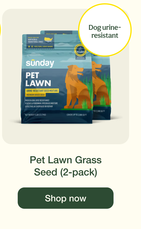 Pet Lawn Grass Seed (2-pack) | Shop now