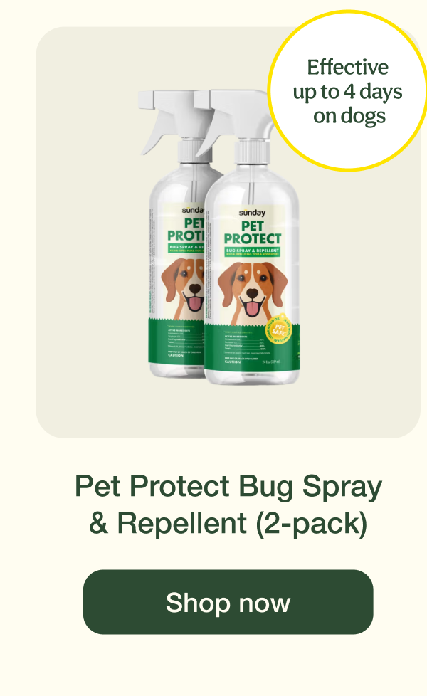 Pet Protect Bug Spray & Repellent (2-pack) | Shop now