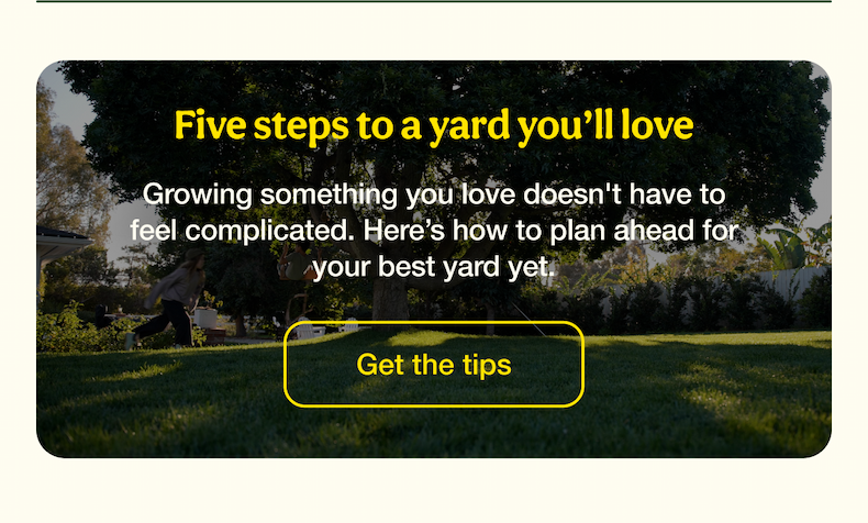 Five steps to a yard you’ll love | Get the tips