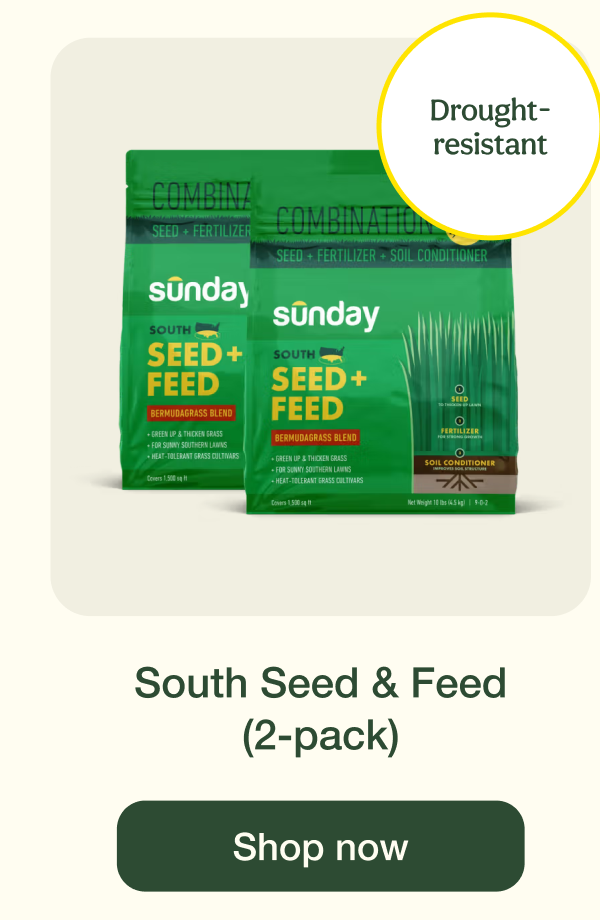 South Seed & Feed (2-pack) | Shop now