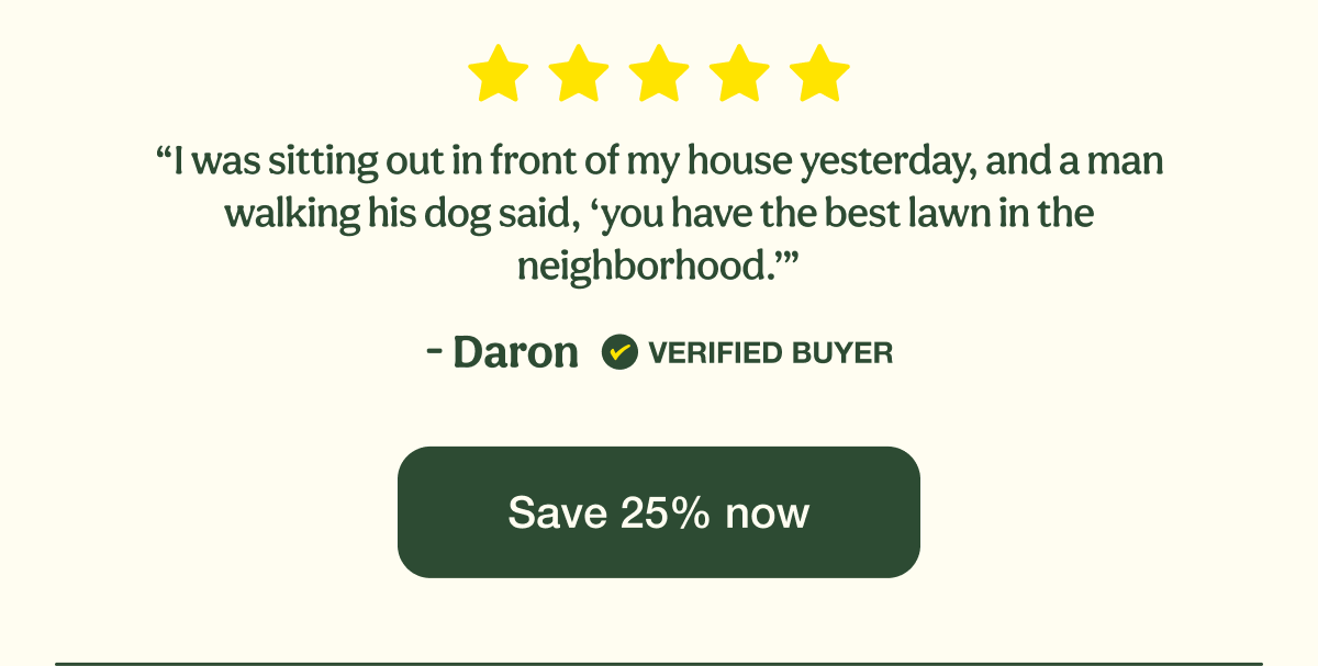 Save 25% now