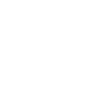 Custom
