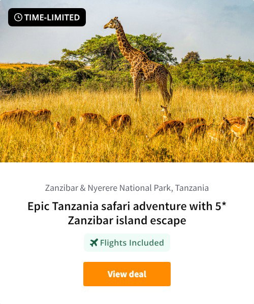 Epic Tanzania safari adventure with 5* Zanzibar island escape