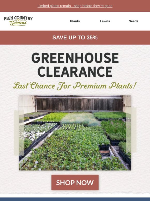 Ends Tomorrow: Plants Up To 35% Off