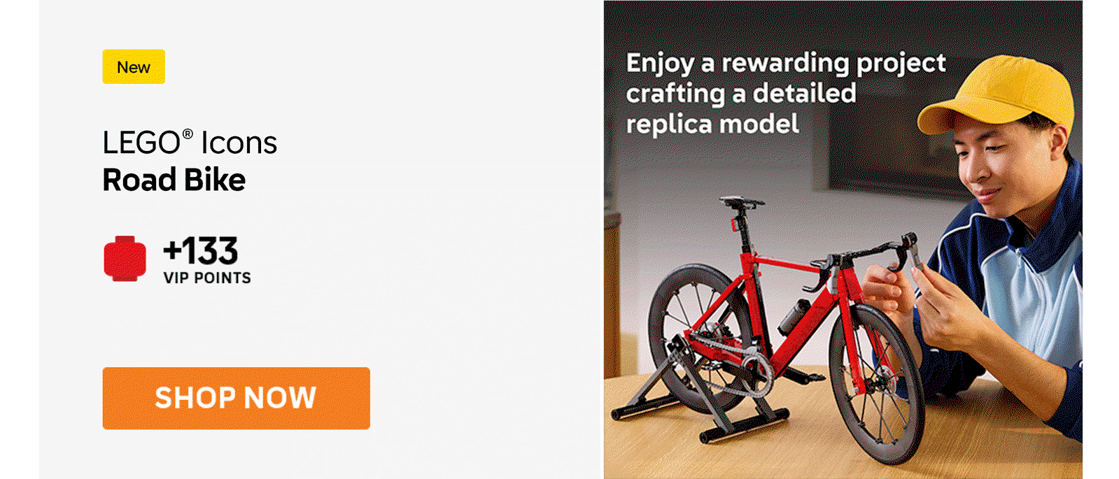LEGO® Icons Road Bike