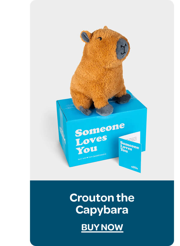 [Shop Crouton the Capybara]