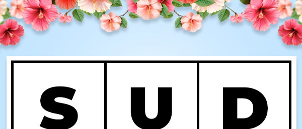 Sudoko Packing Method