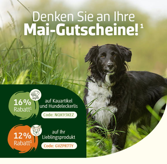 Kalendergutschein aussuchen